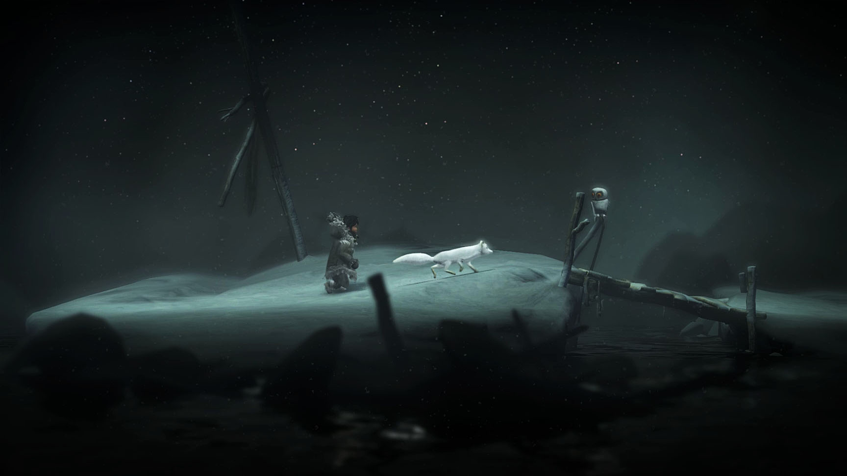 Nuna and Fox on the Coast at Night