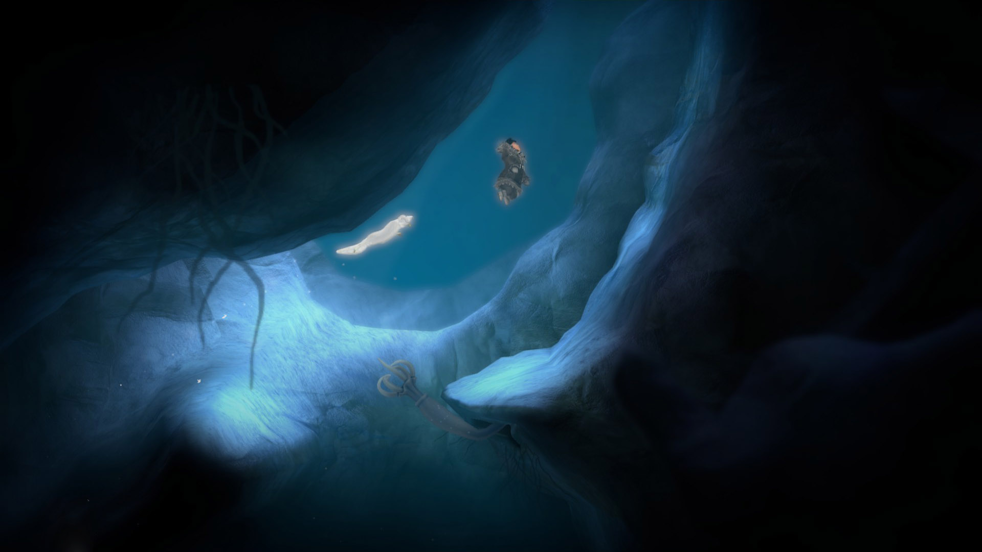 Nuna and Fox Swim Underwater