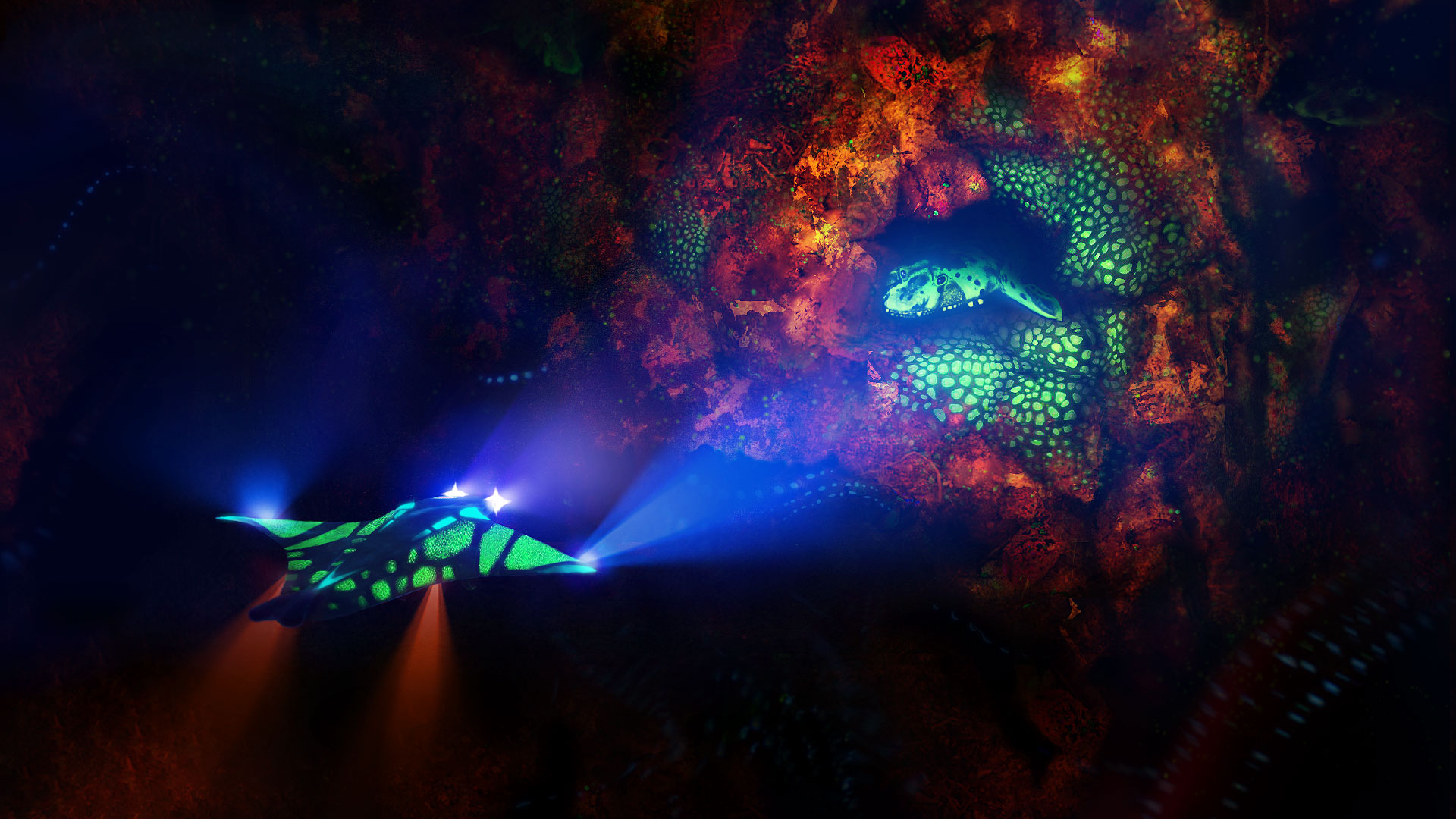 Spotlight on Creature