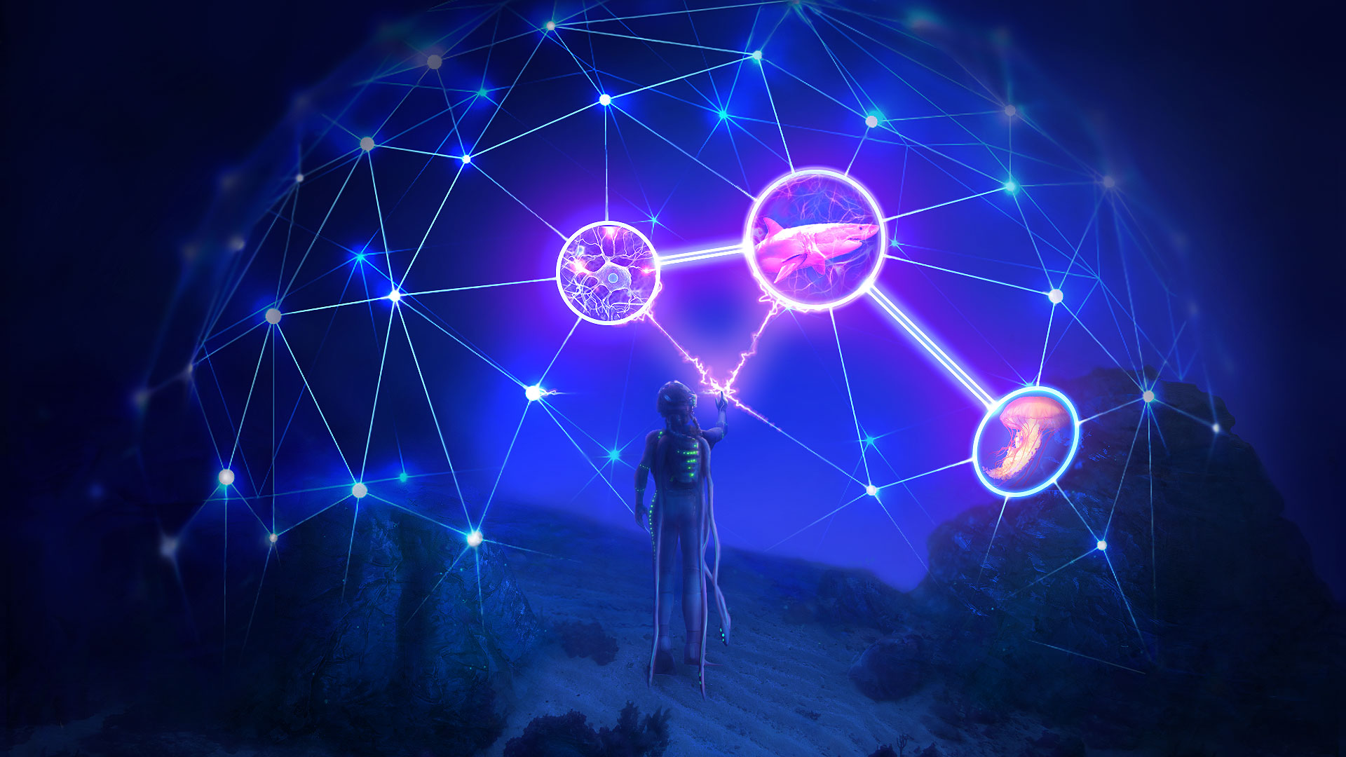 Tech Interface Concept