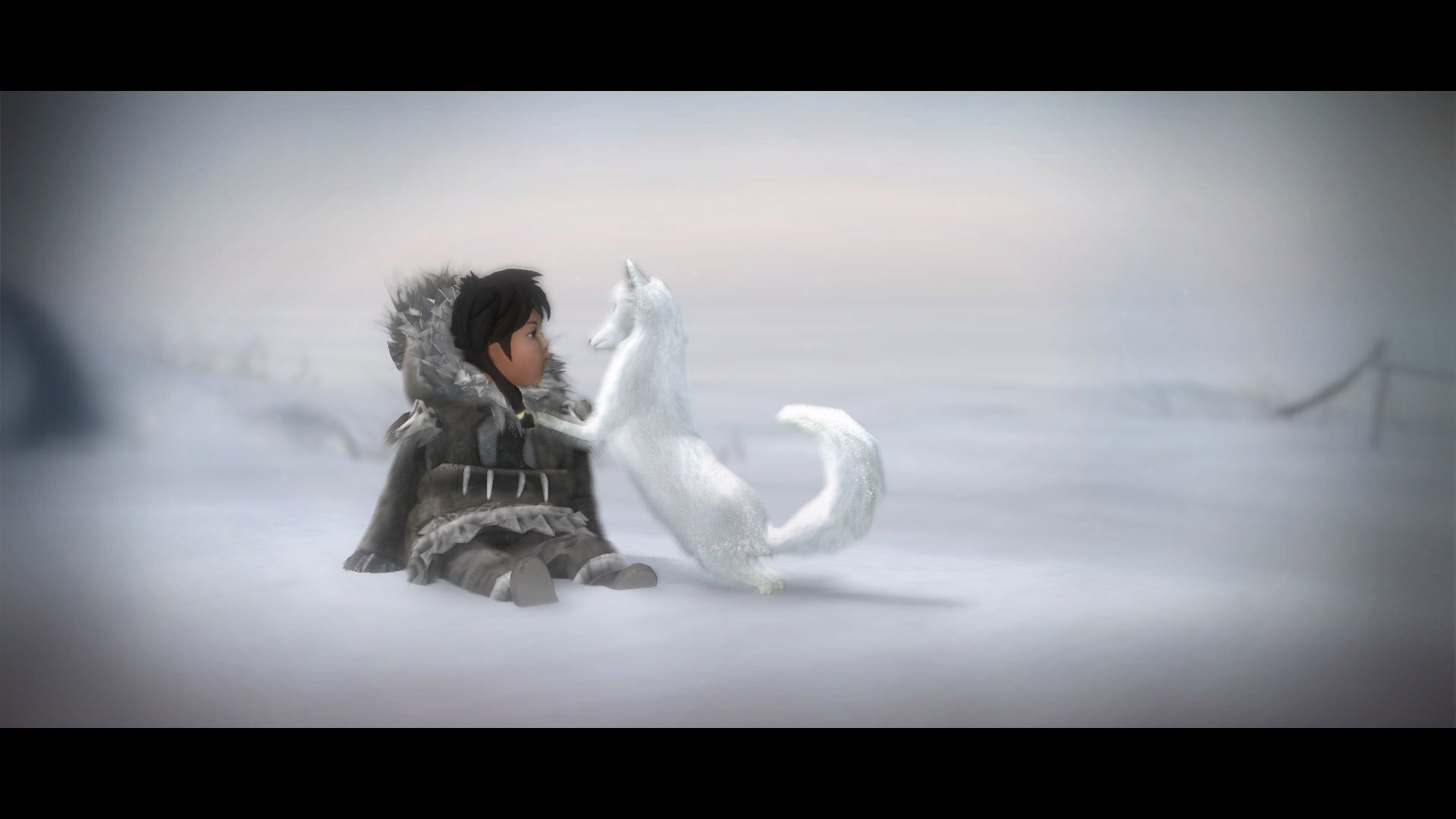 Nuna and Fox Play Together